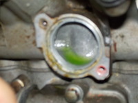 DSCN3777