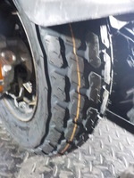 DSCN6335