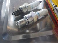 DSCN3781