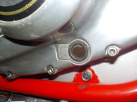 DSCN6483