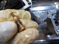 DSCN0204