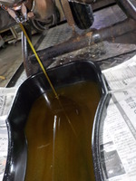 DSCN2650