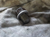 DSCN0729