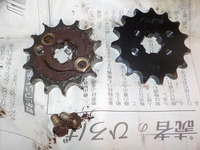 DSCN8481