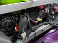 DSCN6651