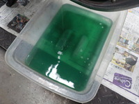 DSCN3380