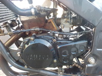 DSCN3385