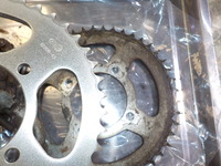 DSCN8505