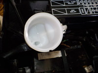 DSCN3991