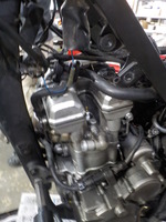 DSCN2589