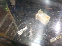 DSCN6803