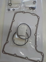 DSCN5870