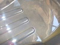 DSCN6517