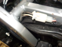 DSCN6805