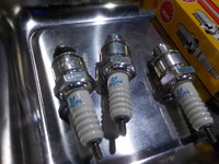 DSCN2602