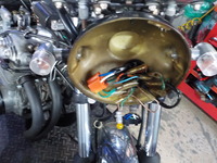 DSCN7003