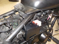 DSCN8401