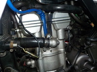 DSCN2646