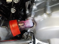 DSCN5871