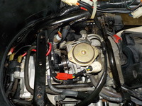 DSCN6319