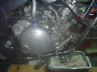P1100646