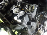 DSCN7967