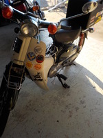 DSCN7156