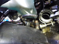 DSCN8947