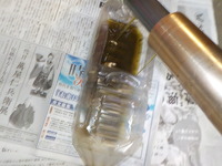 DSCN5187