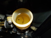 DSCN8257