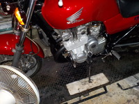 DSCN5141