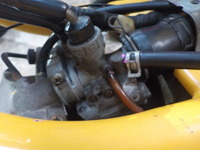 DSCN6101