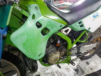 DSCN3264