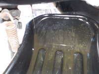 DSCN0877