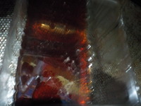 DSCN4299