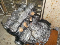 DSCN2965