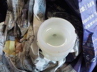 DSCN2531