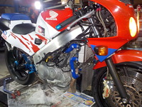 DSCN1266