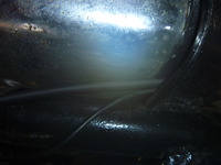 P1110762