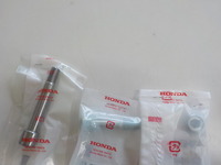 DSCN5500