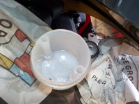 DSCN2239