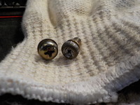 DSCN0086
