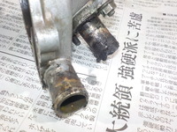DSCN5485