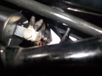 DSCN6884