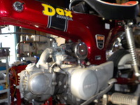 DSCN9132