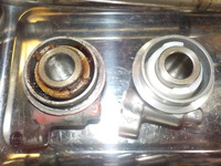 DSCN7345