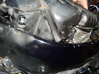 DSCN6742
