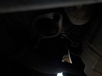 DSCN7741