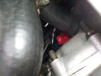 DSCN3339