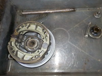 DSCN5163